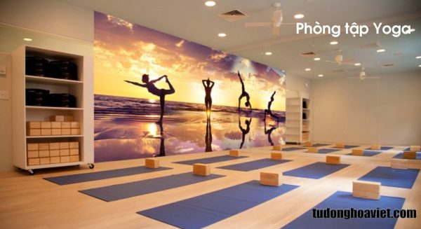 Không gian phòng tập Yoga