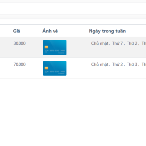 BẢNG KÊ LOẠI VÉ BÁN ĐỂ BÁN TRONG QUẢN LÝ THÔNG VÉ